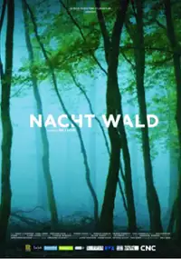 Plakat filmu Nacht Wald