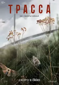 Plakat serialu Trassa