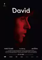 Marek Dvor&aacute;k / Dawid