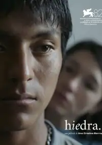 Plakat filmu Hiedra