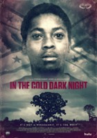 plakat filmu In the Cold Dark Night