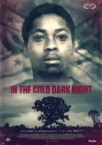 Plakat filmu In the Cold Dark Night