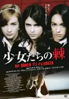 Chiara Paoli / Un gioco da ragazze