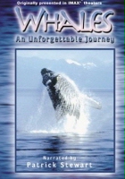 plakat filmu Świat wielorybów (IMAX 2D)