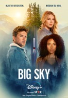 plakat - Big Sky (2020)