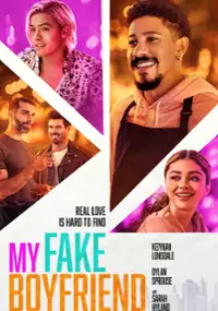 Plakat filmu Mój wymyślony chłopak