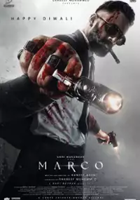 Plakat filmu Marco