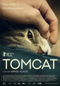 Plakat filmu Kocur