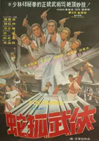 Plakat filmu Saho Muheom