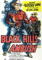 plakat filmu Black Hills Ambush