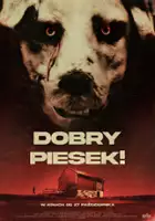 plakat filmu Dobry piesek!