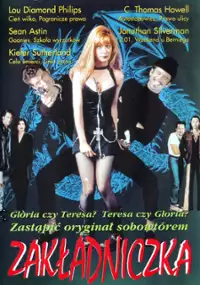 Plakat filmu Zakładniczka