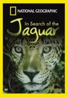 Christine Jameson Henry / In Search of the Jaguar