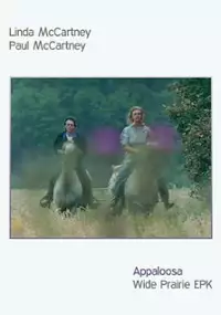 Plakat filmu Appaloosa