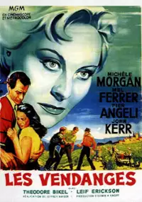 Plakat filmu Winobranie