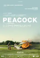 plakat filmuPaw zwyczajny