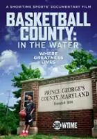 plakat filmu Basketball County: In the Water