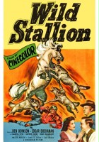 plakat filmu Wild Stallion