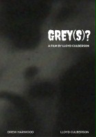 plakat filmu Grey(s)