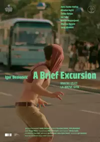 Plakat filmu Mała wycieczka