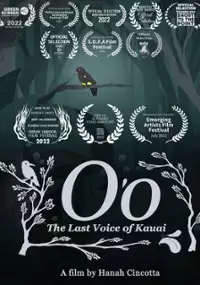 Plakat filmu O'o: The Last Voice of Kauai