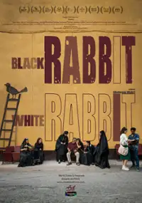 Plakat filmu Black Rabbit, White Rabbit