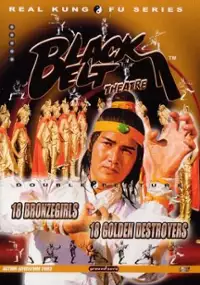 Plakat filmu Shao Lin shi ba pa tung nu