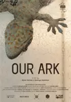 Fırat Sezgin / Our Ark