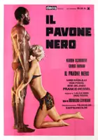 Don Powell / Il Pavone nero