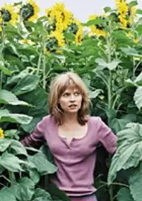 Plakat filmu Olgas Sommer