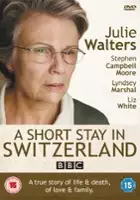 plakat filmu Kr&oacute;tki pobyt w Szwajcarii