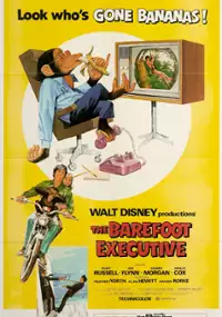 Plakat filmu The Barefoot Executive