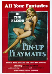 Plakat filmu Blutjunge Masseusen