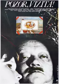 Plakat filmu Pozor, vizita!