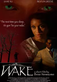 Plakat filmu Wake