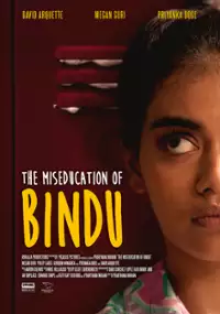 Plakat filmu The Miseducation of Bindu