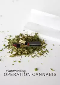 Plakat serialu Operation Cannabis