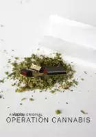 Fredde Granberg / Operation Cannabis