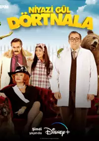 Plakat filmu Niyazi Gül Dörtnala