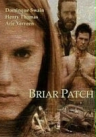 plakat filmu Briar Patch