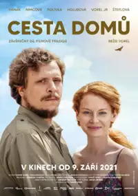 Plakat filmu Droga do domu