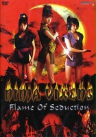 plakat filmu Ninja Vixens: Flame Of Seduction