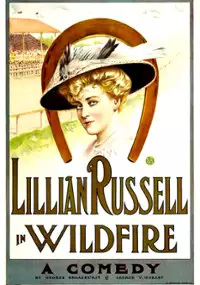 Plakat filmu Wildfire