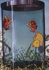 Plakat filmu Motyl