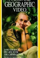 plakat filmu Jane Goodall: My Life with the Chimpanzees