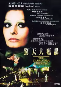 Plakat filmu Skrzyżowanie Kassandra
