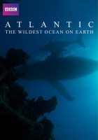 plakat filmu Atlantyk - najdzikszy ocean