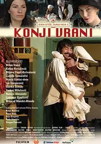 Plakat filmu Konji vrani