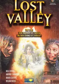 Plakat filmu Lost Valley