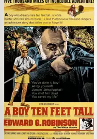 Plakat filmu Podróż na południe